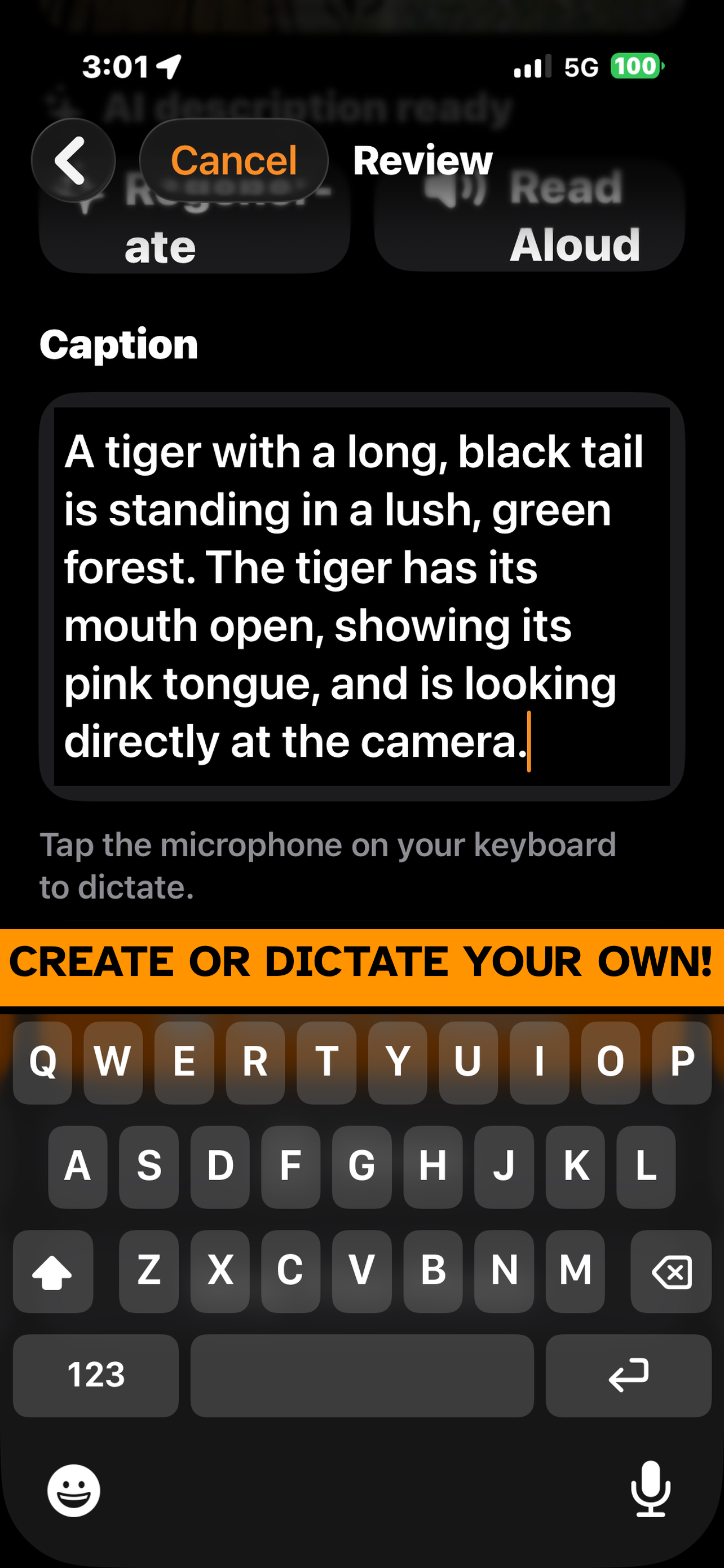 Editing a caption with the keyboard, including dictation