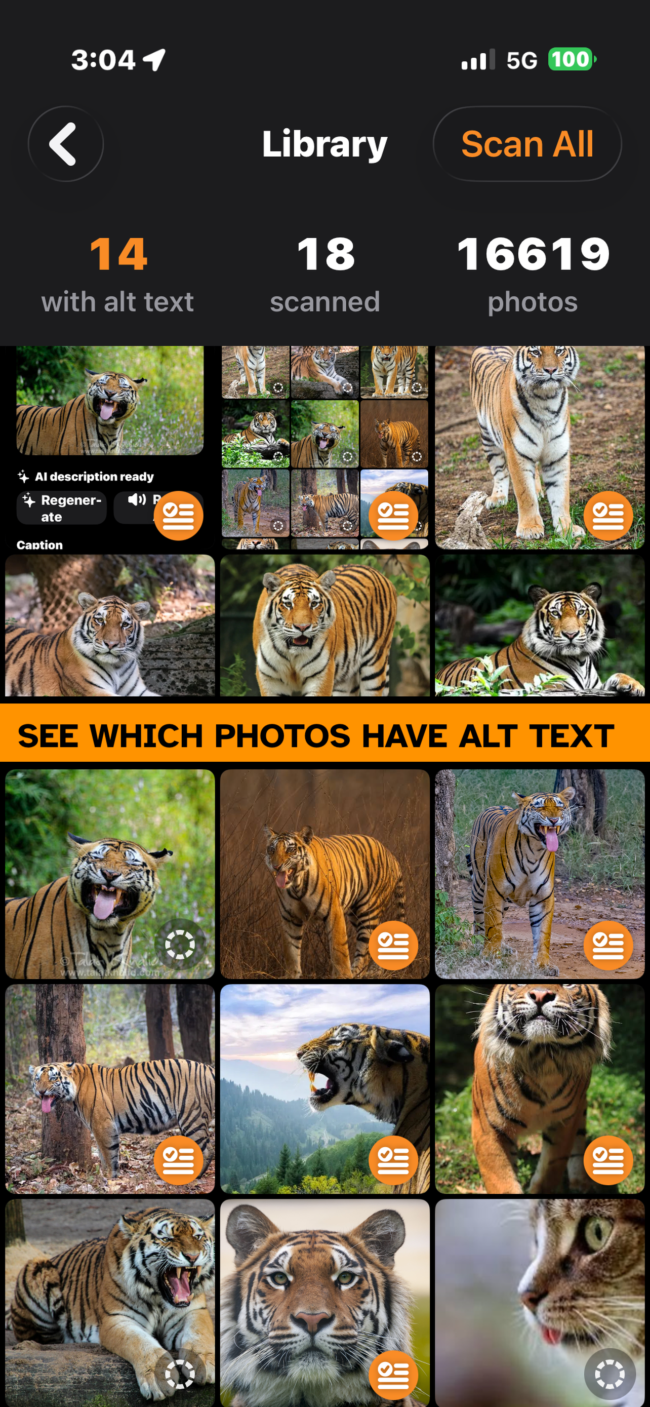 The photo library grid with badges marking which photos already have alt text