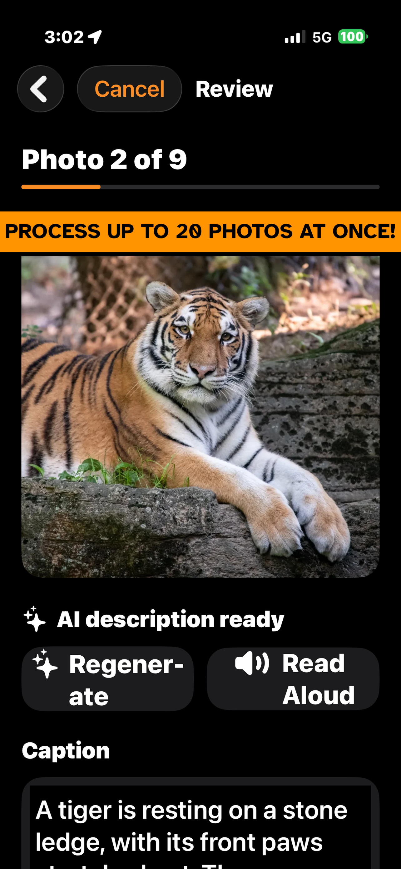 Bulk process up to 20 photos at once